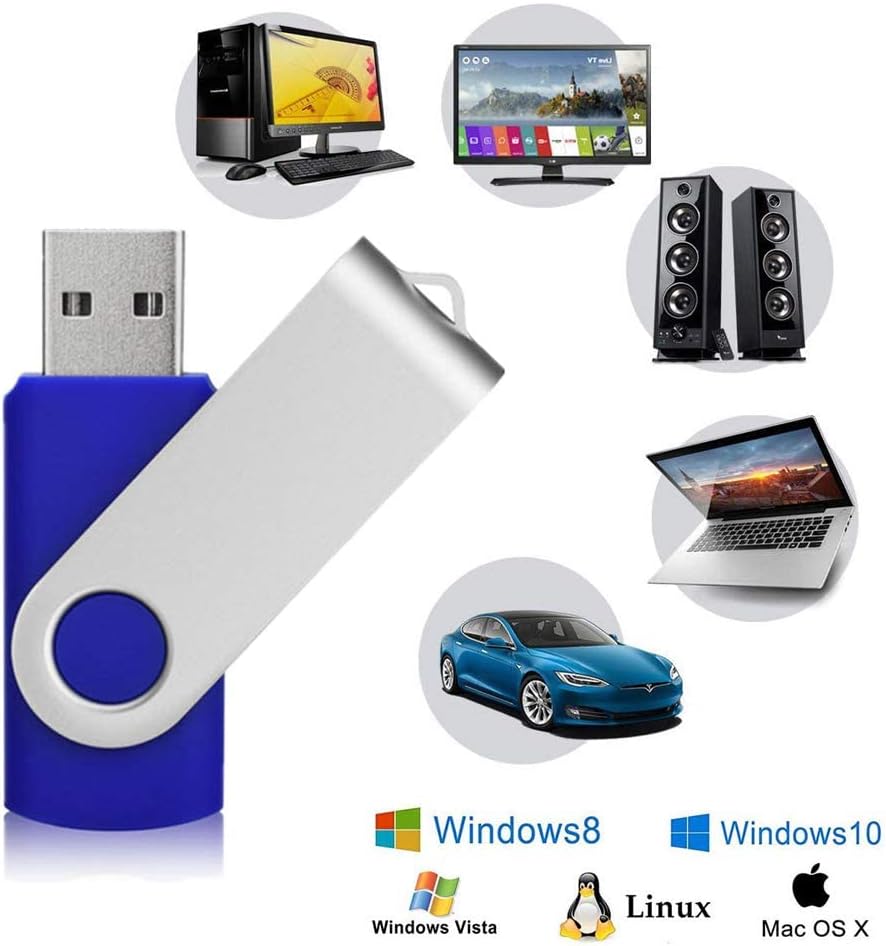 Aiibe 10 Pack 64GB USB 2.0 Flash Drive - Blue (10 Pack, 64GB)