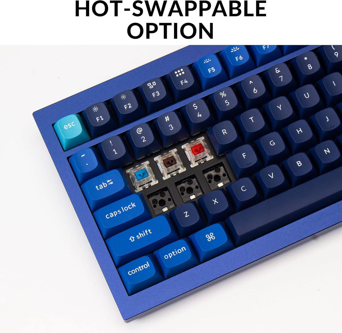 Keychron Q5 Wired Custom Mechanical Keyboard Knob Version, 96% Layout QMK/VIA Programmable Macro with Hot-swappable Gateron G Pro Red Switch Double Gasket Compatible with Mac Windows Linux (Blue)