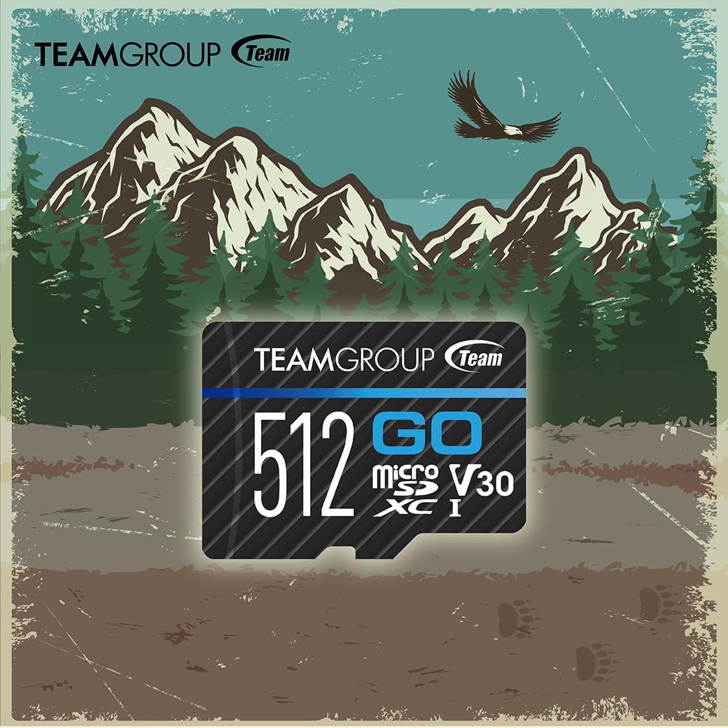 TEAMGROUP GO Card 1TB Micro SDXC UHS-I U3 V30 4K, R/W up to 100/90 MB/s for GoPro &Action Cameras High Speed Flash Memory Card for Outdoor, Sports, 4K Shooting, GoPro &Insta360 TGUSDX1TU302