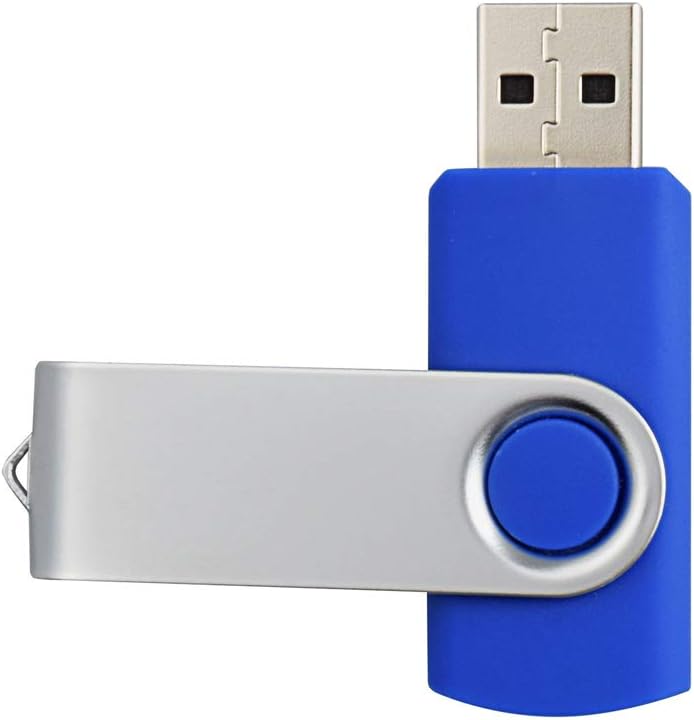 Aiibe 2GB Flash Drive USB Flash Drive Thumb Drives 2G USB 2.0 Memory Stick Wholesale/Lot/Bulk (2GB, 10 Pack, Blue)