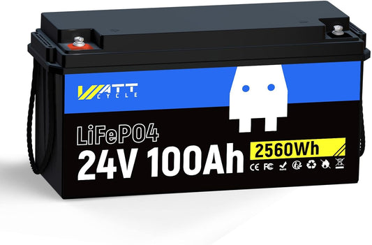 24V 100Ah LiFePO4 Lithium Rechargeable Battery, Max.2560Wh, Built-in 100A BMS, A+ Cells, Low-Temperature Protection, Higher Power Output Efficiency - Ideal for RVs, Other 24V Equipment