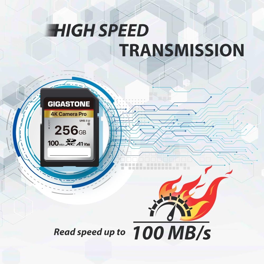[5-Yrs Free Data Recovery] GIGASTONE 256GB SD Card, 4K Camera Pro, A1 V30 SDXC Memory Card 4K UHD Video Compatible with Canon Digital Camera, with 1 Mini Case