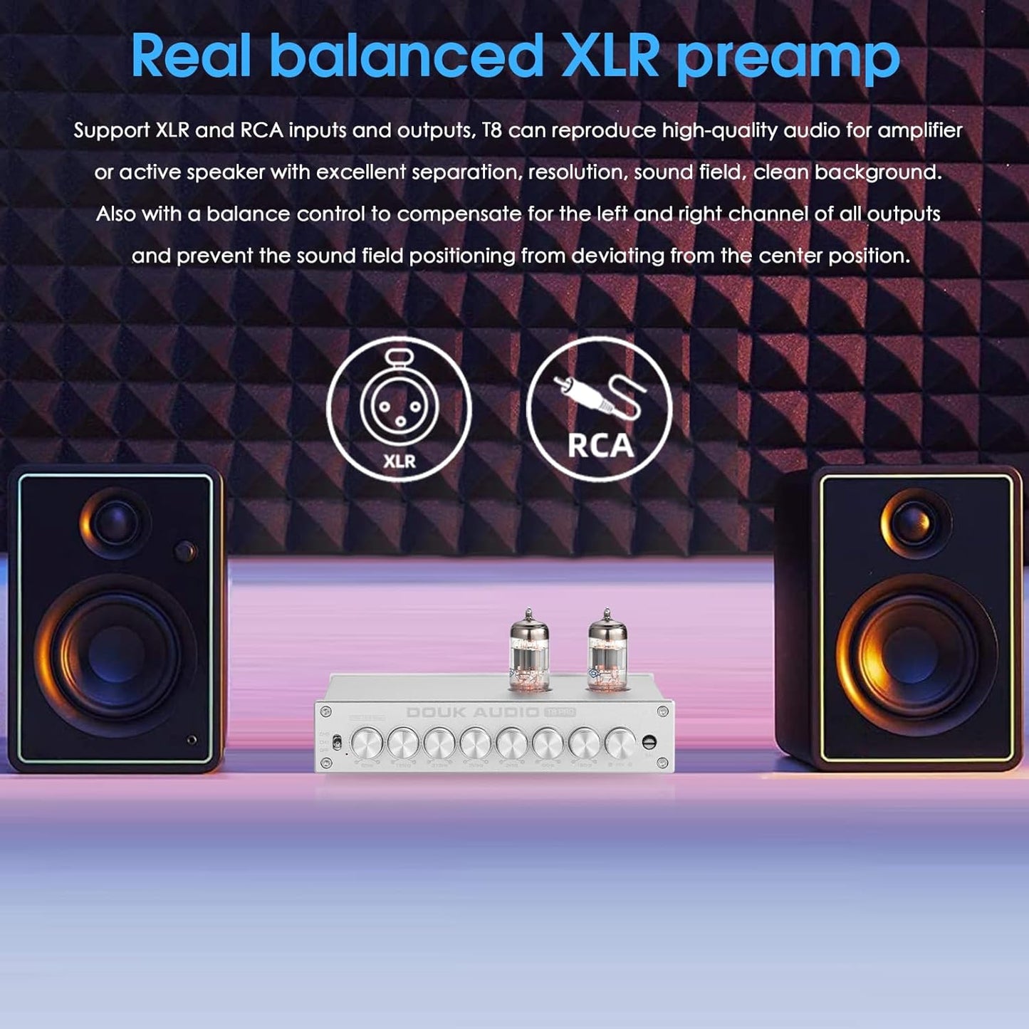 Douk Audio HiFi Vacuum Tube 7-Band EQ Preamp Equalizer XLR Pre-Amplifier Home (T8 PRO Silver)