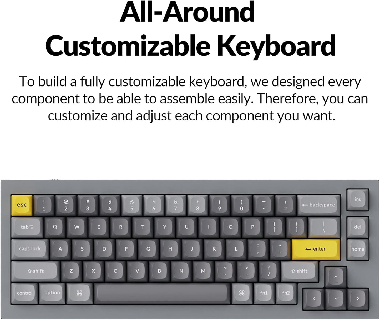 Keychron Q2 Wired Custom Mechanical Keyboard, QMK/VIA Programmable Macro, Full Aluminum, Hot-Swappable Gateron G Pro Brown Switch, 65% Layout Double Gasket Compatible with Mac and Windows - Grey