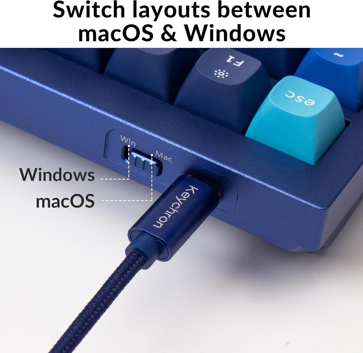 Keychron Q5 Wired Custom Mechanical Keyboard Knob Version, 96% Layout QMK/VIA Programmable Macro with Hot-swappable Gateron G Pro Red Switch Double Gasket Compatible with Mac Windows Linux (Blue)