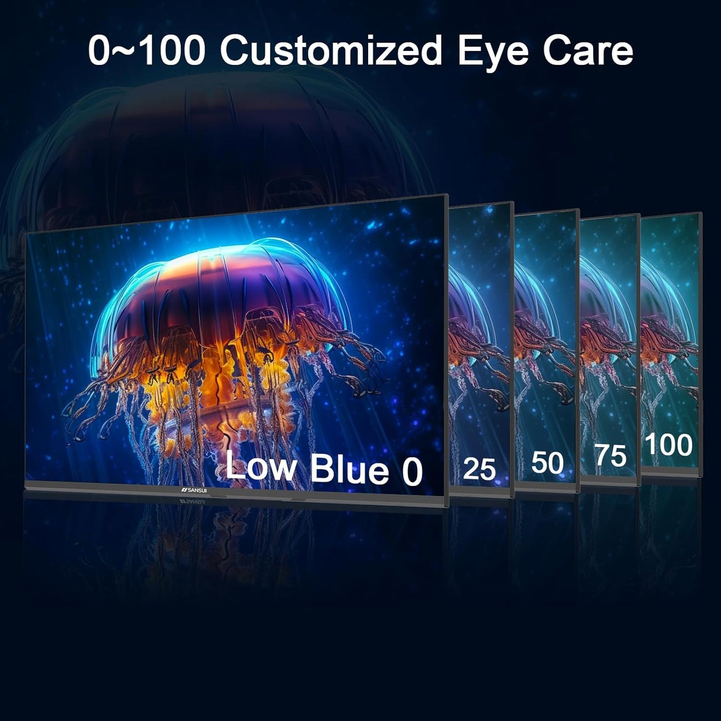 SANSUI 24 inch Monitor, IPS Display FHD Computer Monitor, 100Hz Monitor VESA Mount with HDMI Inputs for Home Office (HDMI Cable Included)