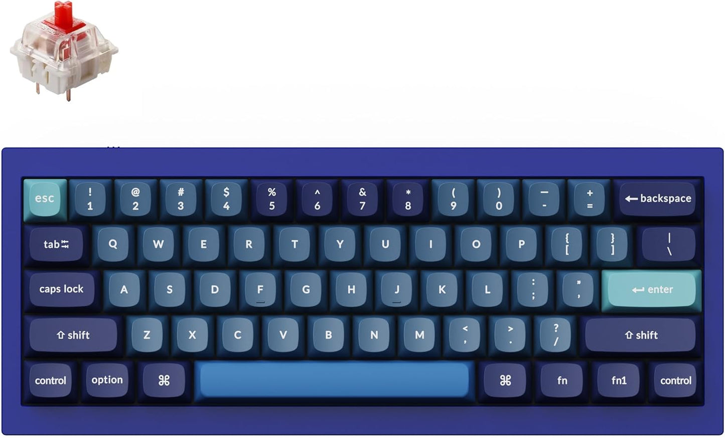Keychron Q4 Wired Custom Mechanical Keyboard, 60% Layout QMK/VIA Programmable Macro with Hot-swappable Gateron G Pro Red Switch Double Gasket Compatible with Mac Windows Linux (Navy Blue)