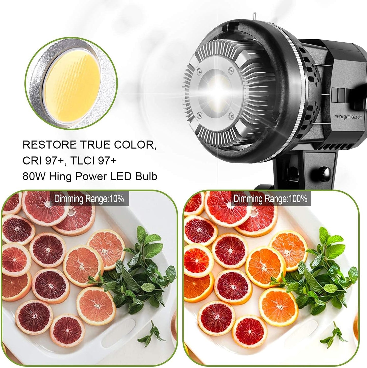 GVM 80W Photo Studio Lighting Kit, LED Video Light with Bowen Mount 23.6" Softbox, Tripod Stand, Continuous Output Daylight 5600K Lights for Photography