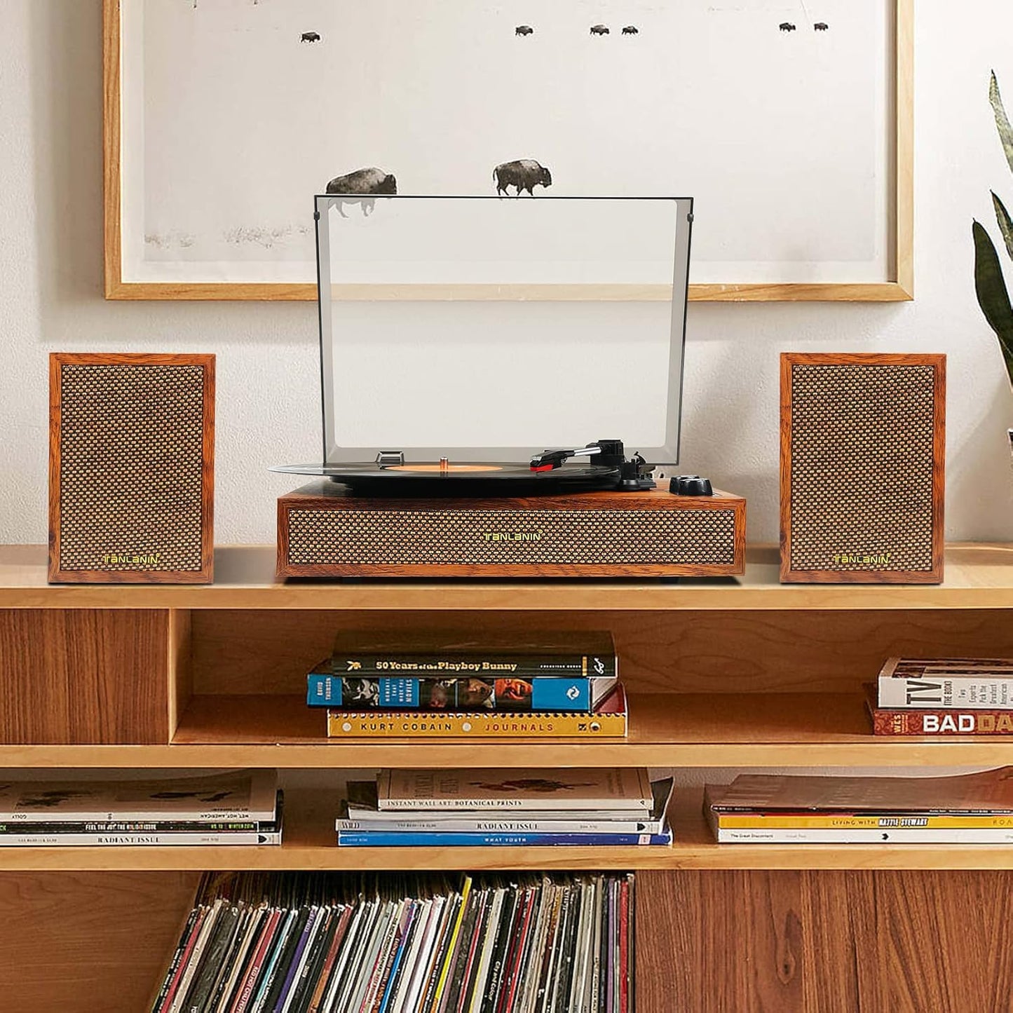 Vinyl Record Player with External Speakers, 3 Speed Bluetooth Turntable for Vinyl Records, Vintage Belt Drive Record Player with Stereo Speakers and Auto Stop, RCA Audio Out and Aux-in,Light Wood